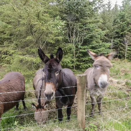 Shannagh * 포트살론