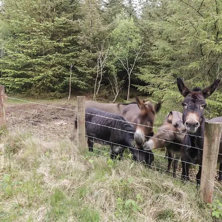 Shannagh Tatil Evi *